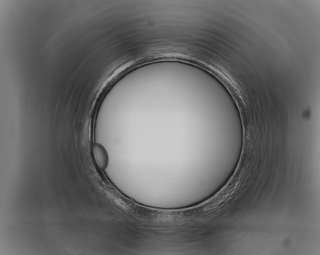 X0000096130790200801180828