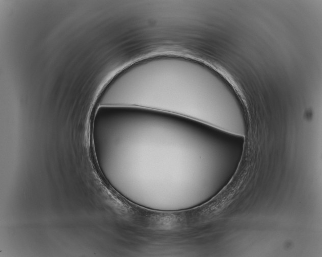 X0000096130791200801180828