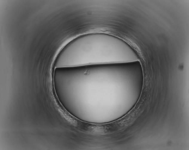 X0000096130792200801180828