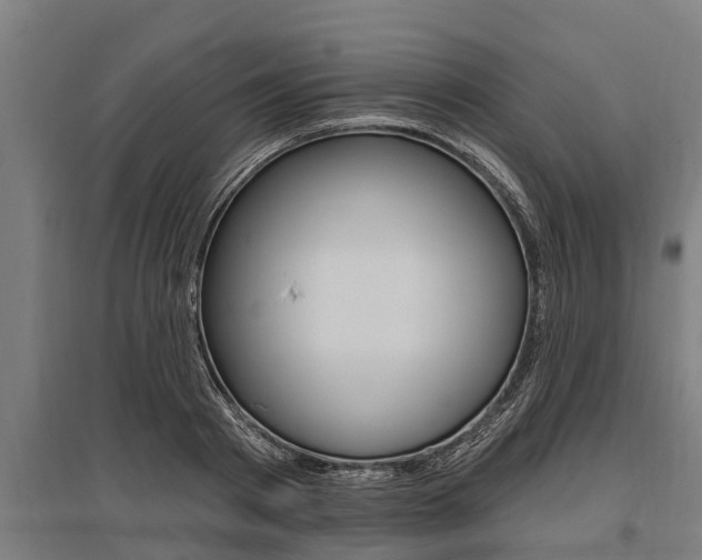X0000096130793200801180828