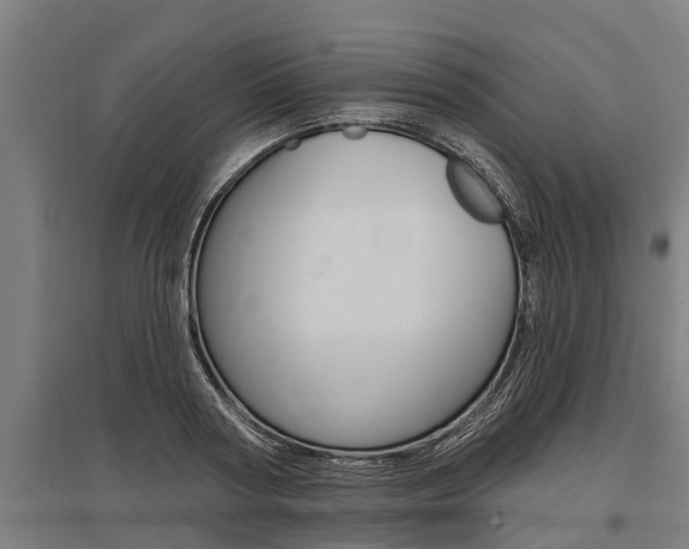 X0000096130794200801180828