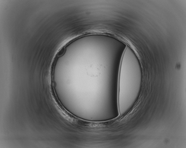 X0000096130795200801180828
