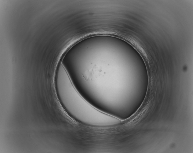 X0000096130797200801180828