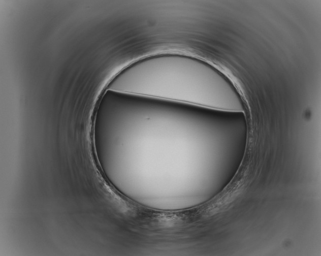 X0000096130799200801180828