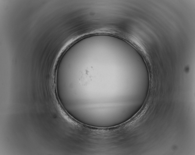 X0000096130800200801180828