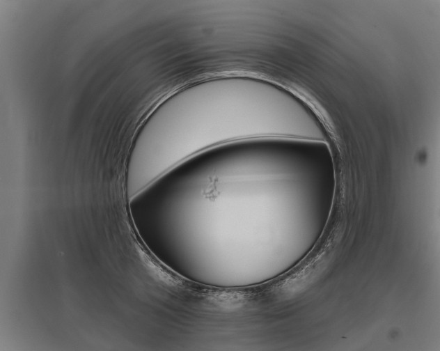 X0000096130801200801180828