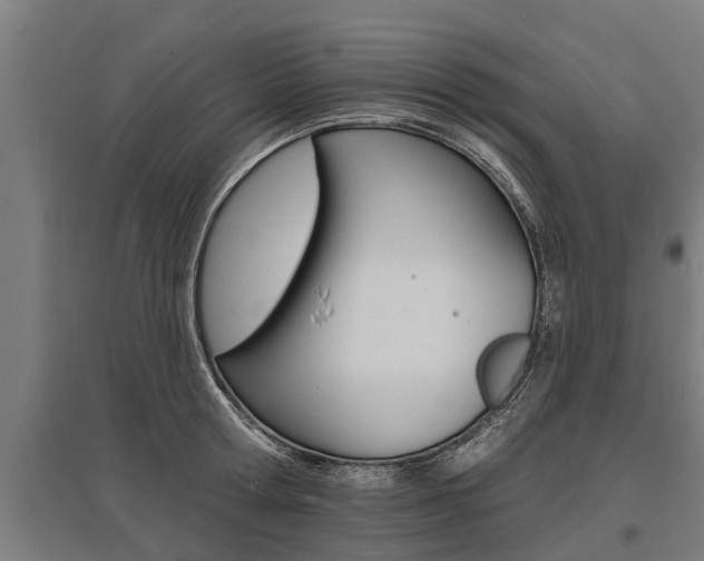 X0000096130802200801180828