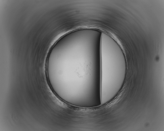 X0000096130803200801180828