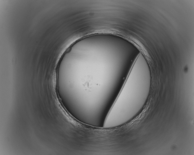 X0000096130804200801180828