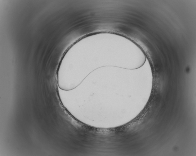 X0000096130807200801180828