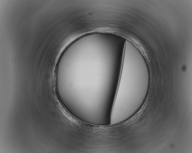 X0000096130808200801180828