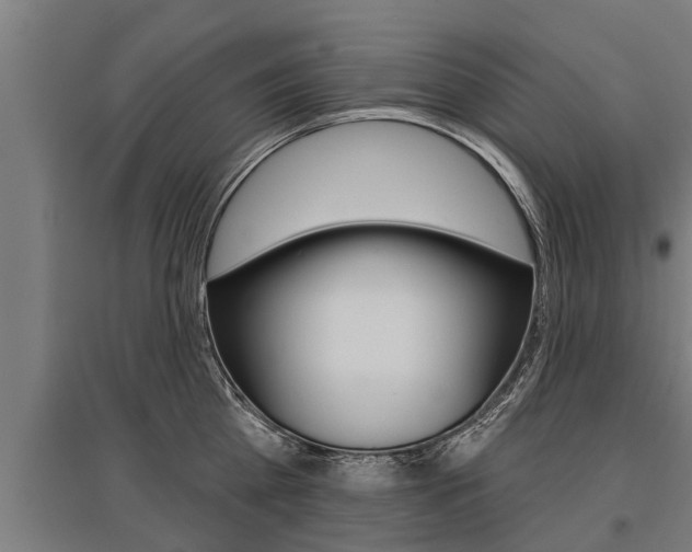 X0000096130809200801180828