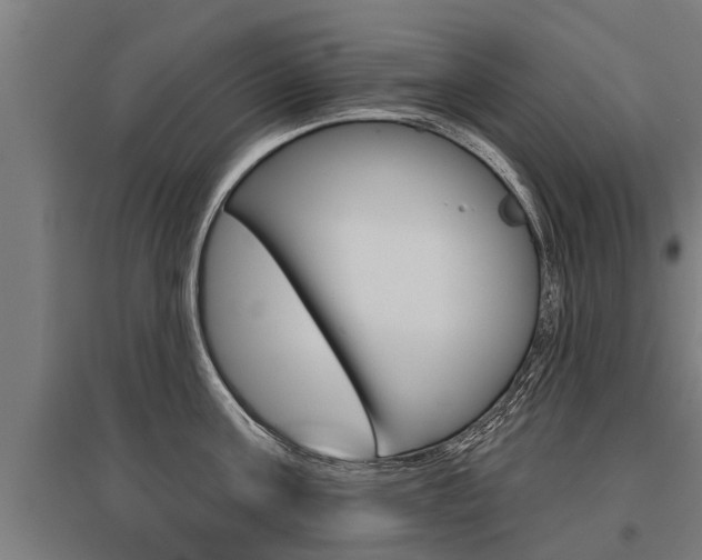 X0000096130811200801180828