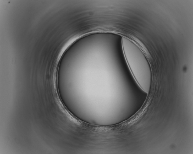 X0000096130812200801180828