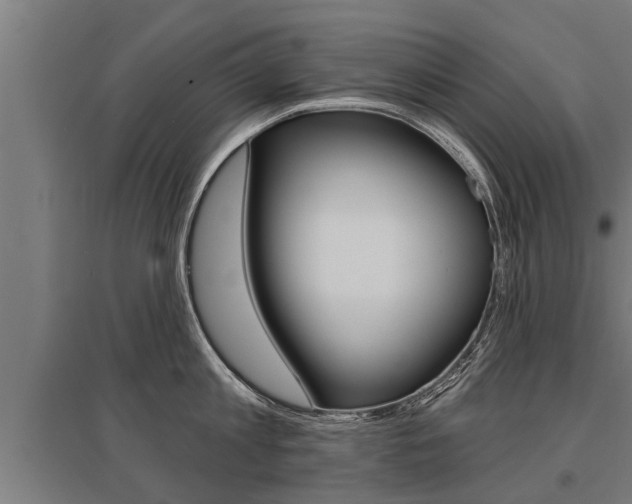 X0000096130813200801180828