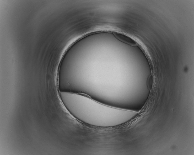 X0000096130815200801180828