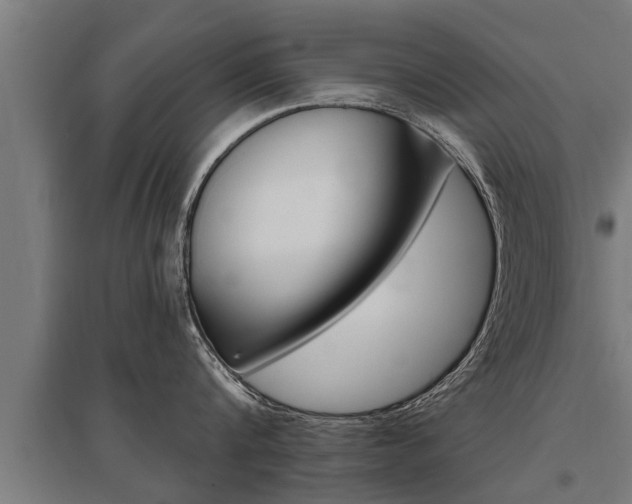 X0000096130816200801180828