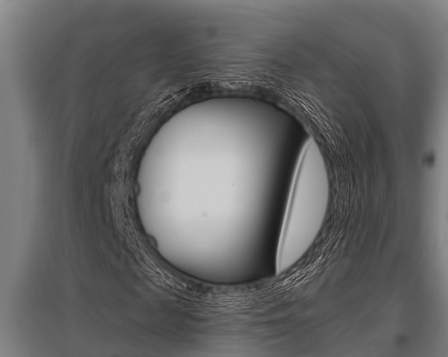 X0000096130817200801180827