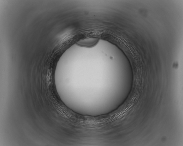 X0000096130818200801180827