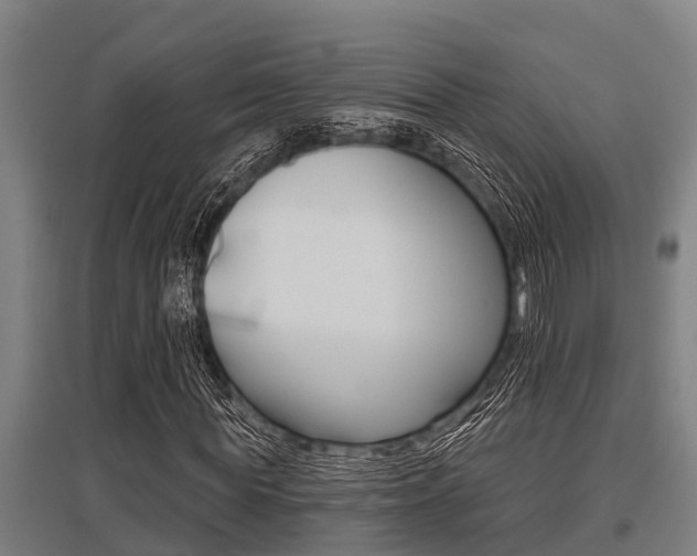 X0000096130819200801180827