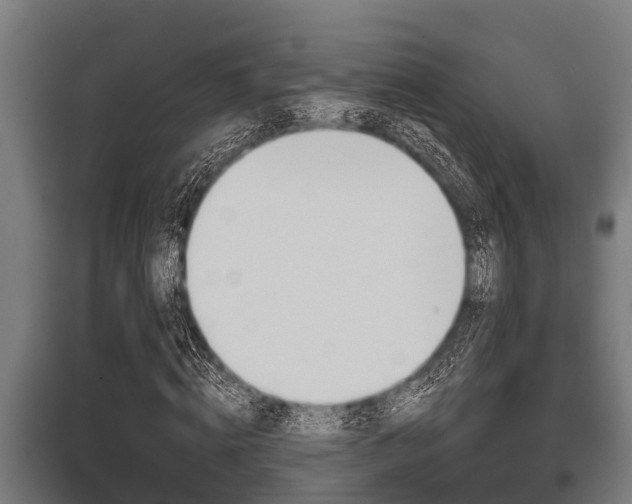 X0000096130820200801180827