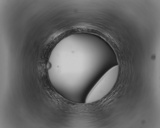 X0000096130822200801180827