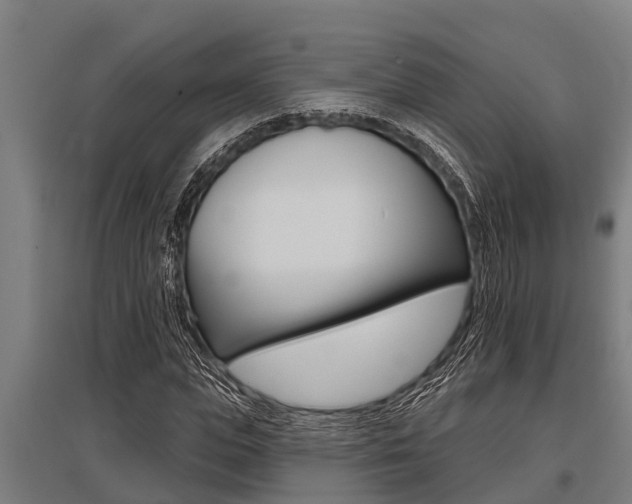 X0000096130823200801180827