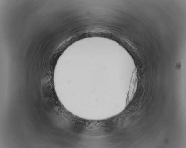 X0000096130824200801180827