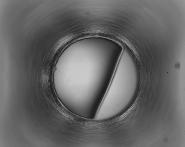 X0000096130826200801180827