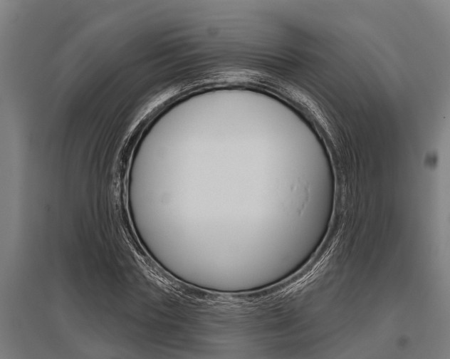 X0000096130827200801180827