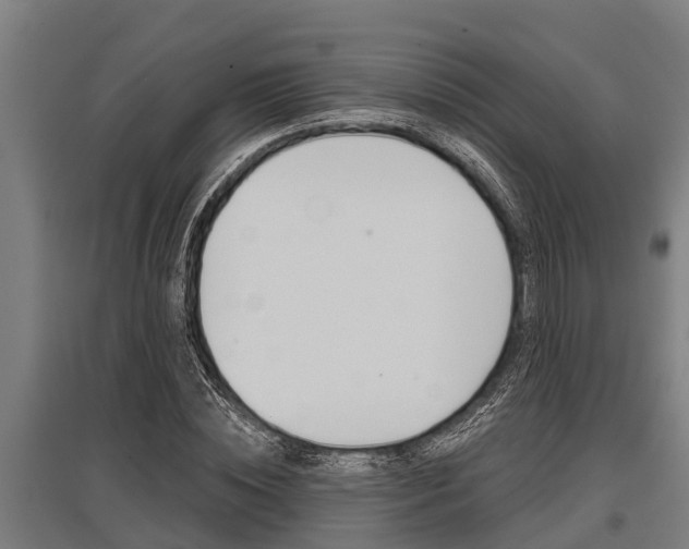 X0000096130828200801180827