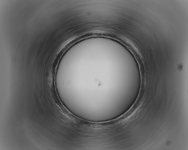 X0000096130829200801180827