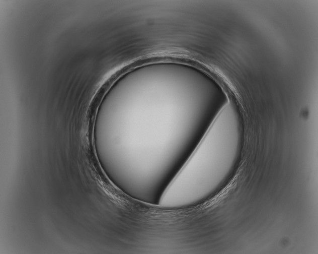 X0000096130830200801180827