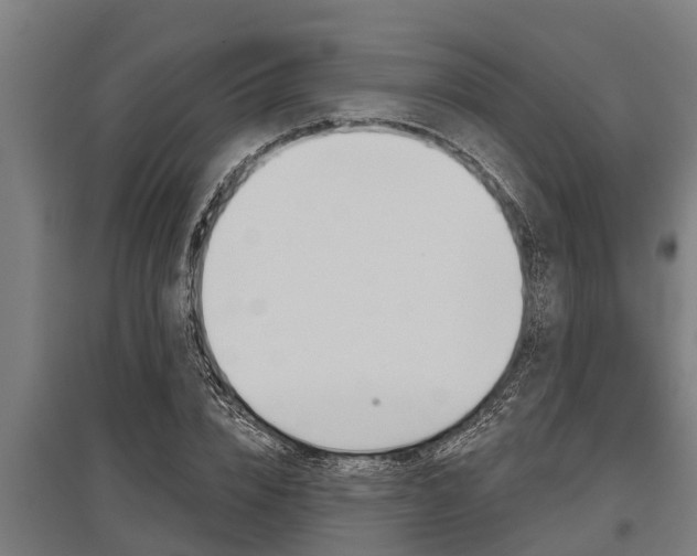 X0000096130832200801180827