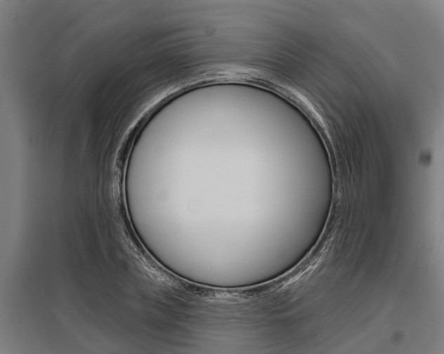 X0000096130835200801180827