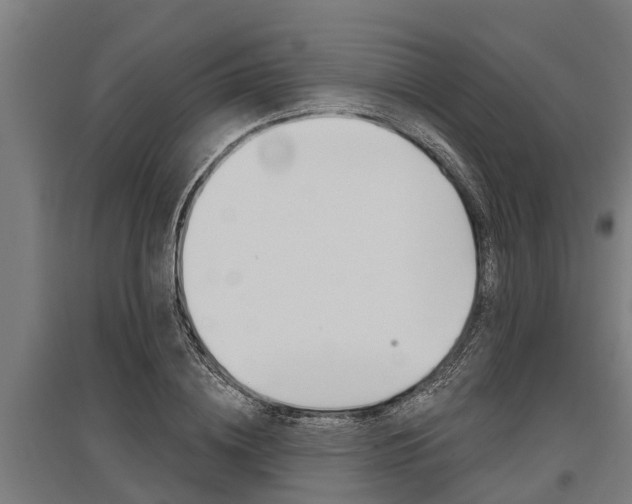 X0000096130836200801180827
