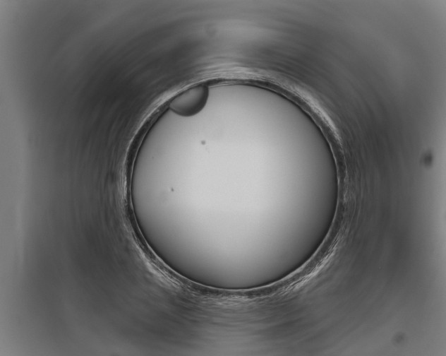 X0000096130837200801180827