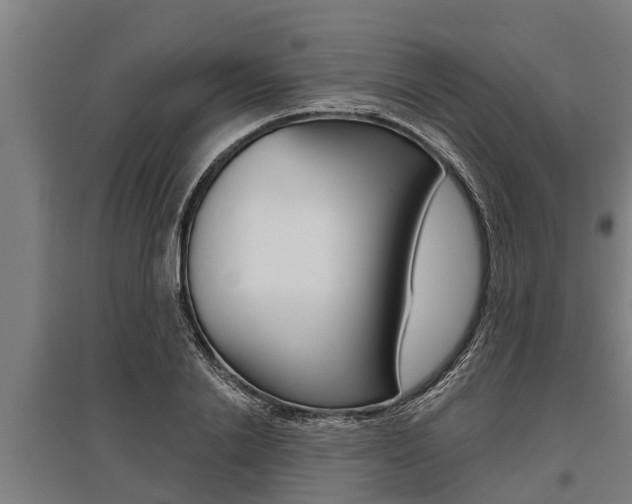 X0000096130838200801180827