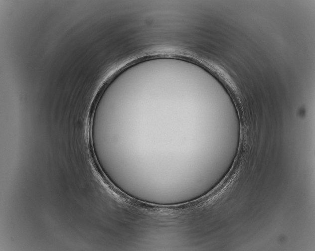 X0000096130839200801180827