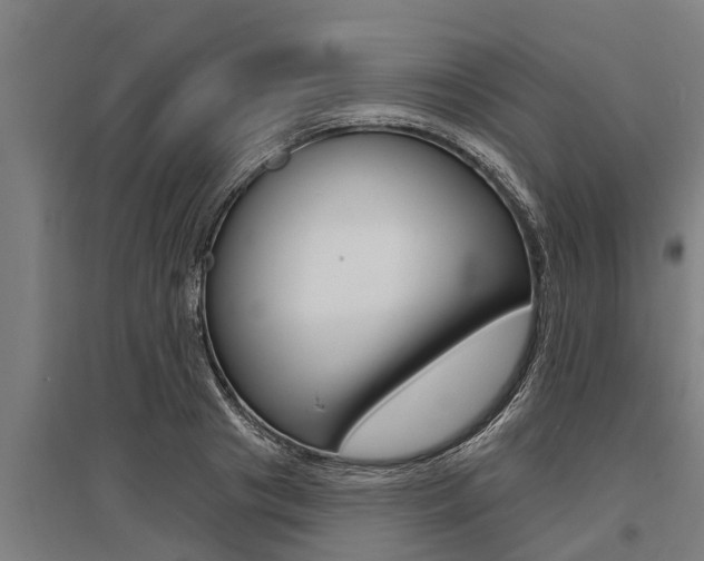 X0000096130841200801180827