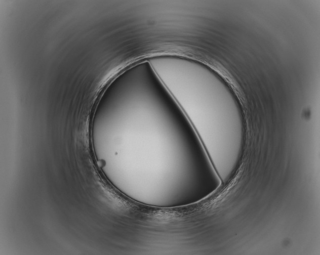 X0000096130842200801180827