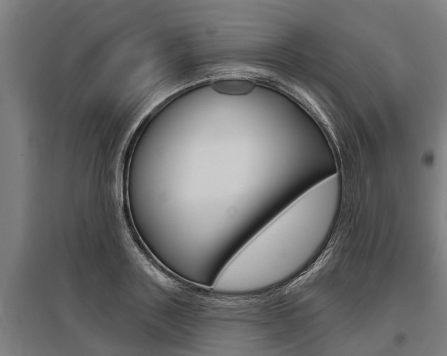 X0000096130843200801180827