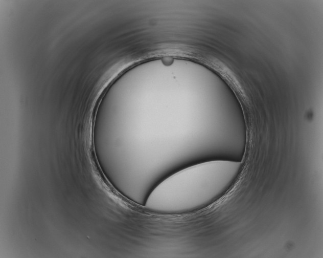X0000096130844200801180827
