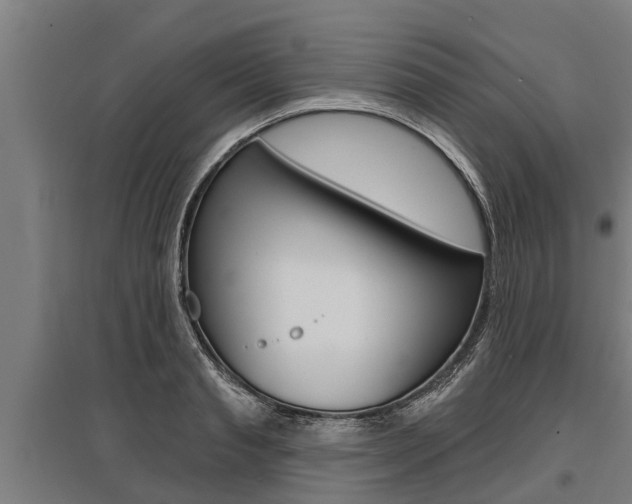 X0000096130845200801180827