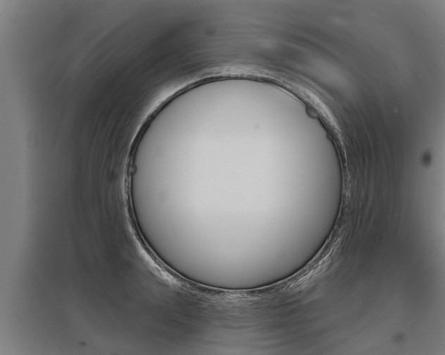X0000096130847200801180827