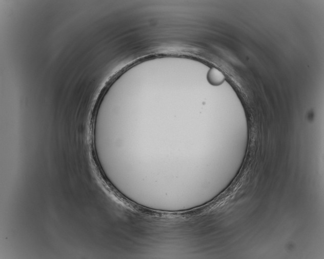 X0000096130848200801180827