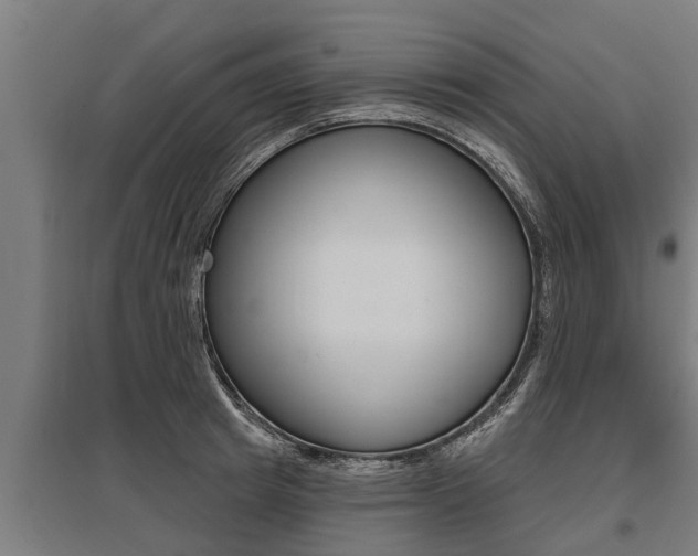 X0000096130849200801180828