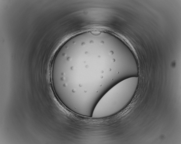 X0000096130851200801180828