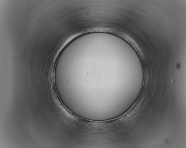 X0000096130852200801180828