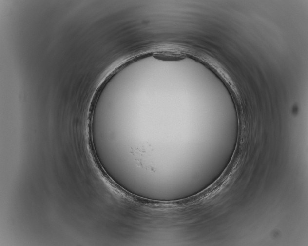 X0000096130853200801180828